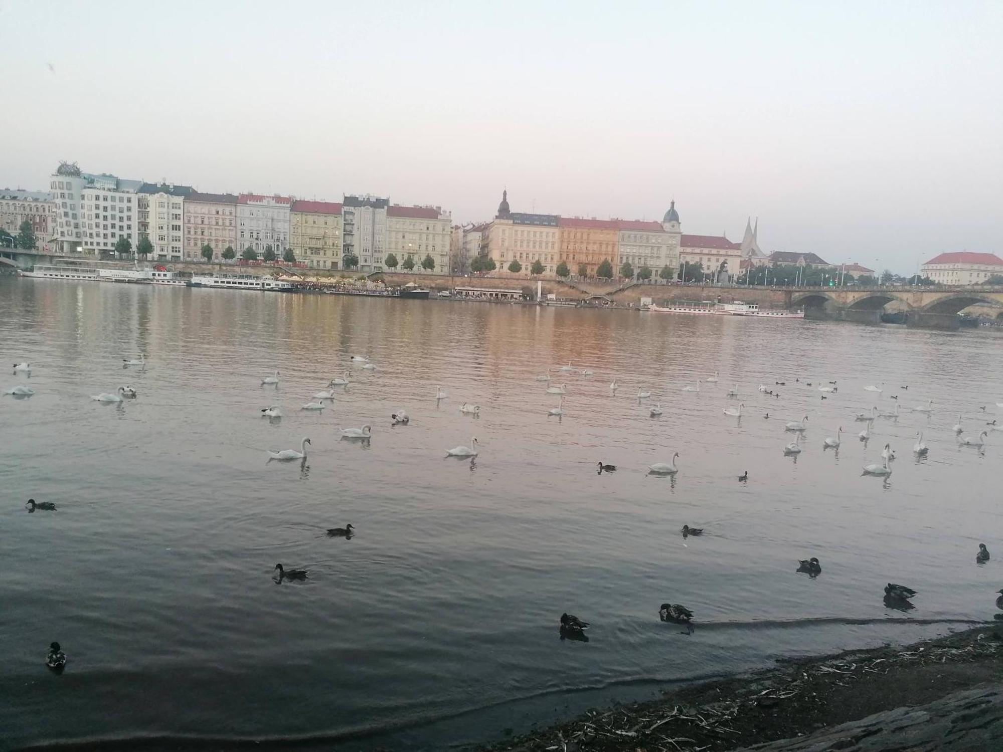 Ferienwohnung Valentinka Minutes Away From Charles Bridge Prag Exterior foto